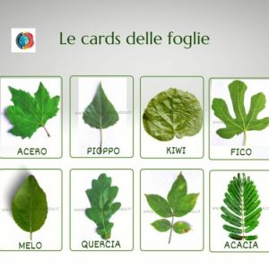 Cards di foglie