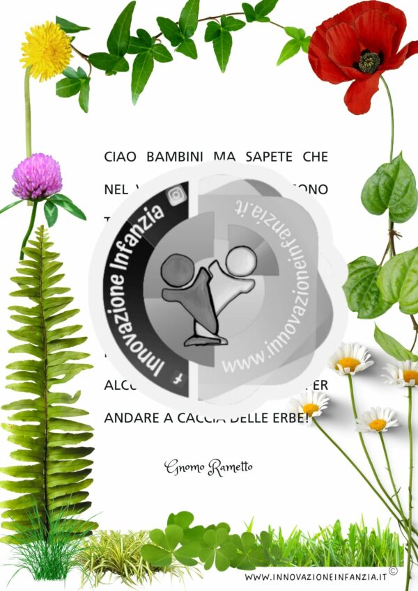 8° uda L'ERBA E I FIORI: UNO GNOMO IN GIARDINO