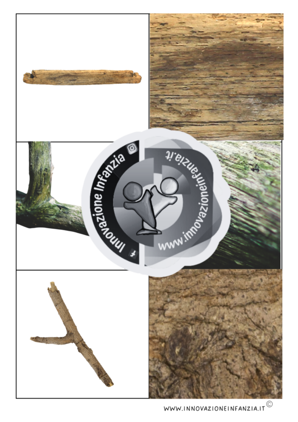 6° uda RAMI E RAMETTI: UNO GNOMO IN GIARDINO