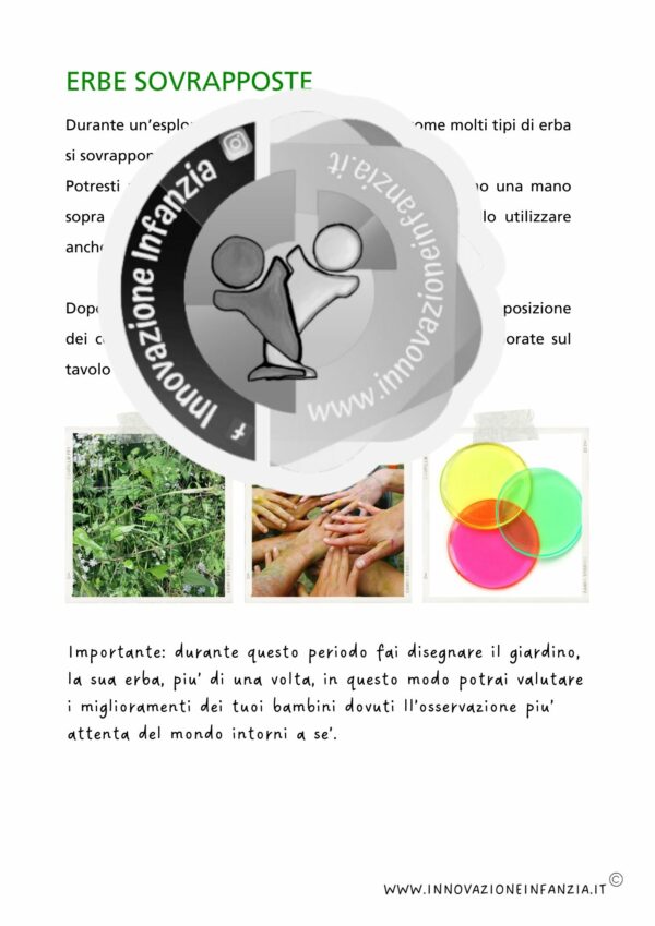 8° uda L'ERBA E I FIORI: UNO GNOMO IN GIARDINO