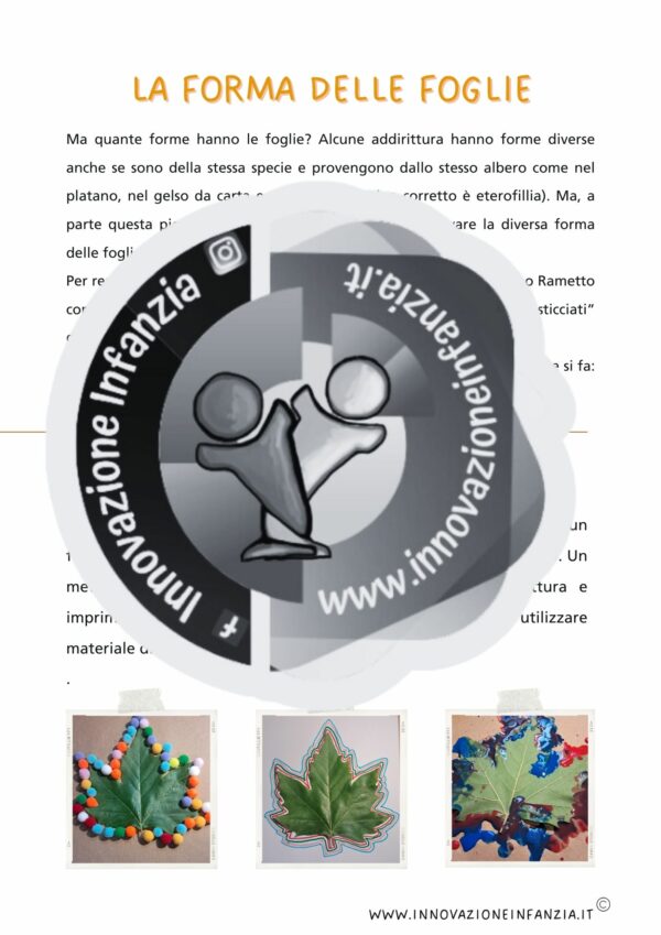 3° uda LE FOGLIE: UNO GNOMO IN GIARDINO