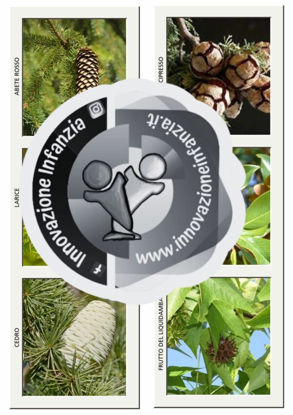 4° uda IL CALENDARIO DELL'AVVENTO: UNO GNOMO IN GIARDINO