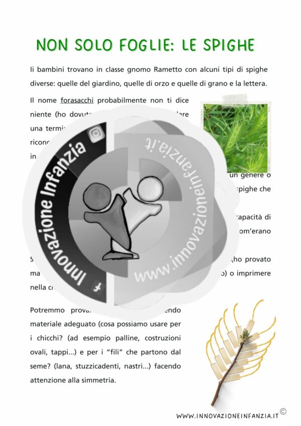 8° uda L'ERBA E I FIORI: UNO GNOMO IN GIARDINO