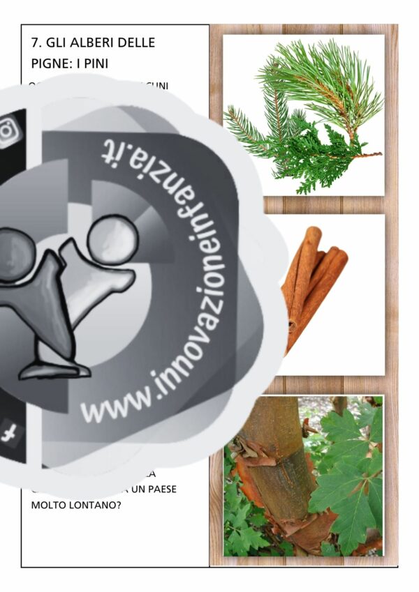 4° uda IL CALENDARIO DELL'AVVENTO: UNO GNOMO IN GIARDINO