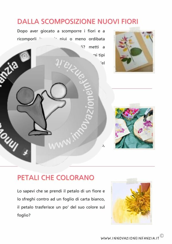 8° uda L'ERBA E I FIORI: UNO GNOMO IN GIARDINO