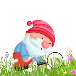 GIOCASTORIA DI FINE ANNO. L'ESPLORATORE