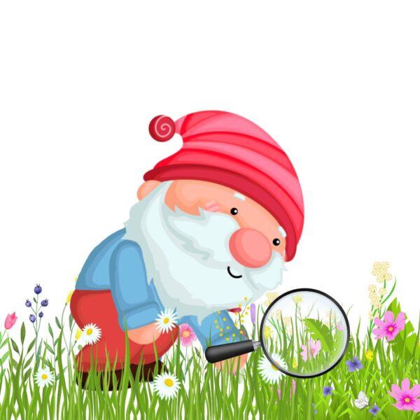 GIOCASTORIA DI FINE ANNO. L'ESPLORATORE